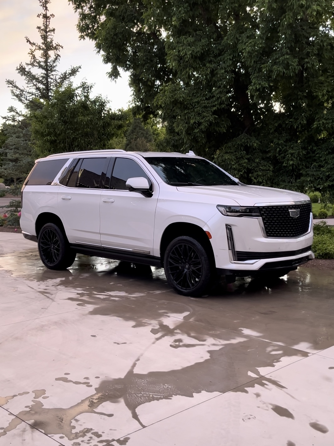 TJ's Detailing work 3